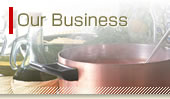 Our Business
